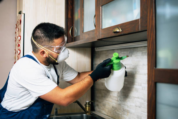 Best Wildlife Control Services  in Muleshoe, TX