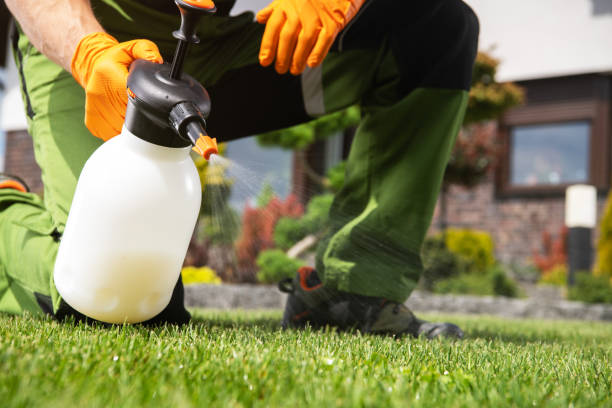 Best Pest Control Near Me in Muleshoe, TX