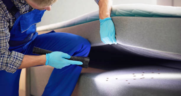 Best Pest Removal Services  in Muleshoe, TX