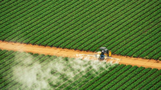 Best Mosquito Control Services  in Muleshoe, TX