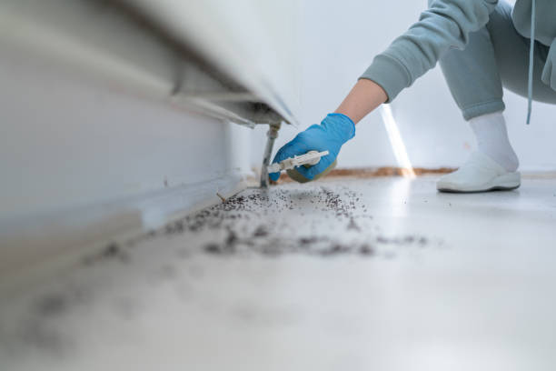 Best Bed Bug Extermination  in Muleshoe, TX